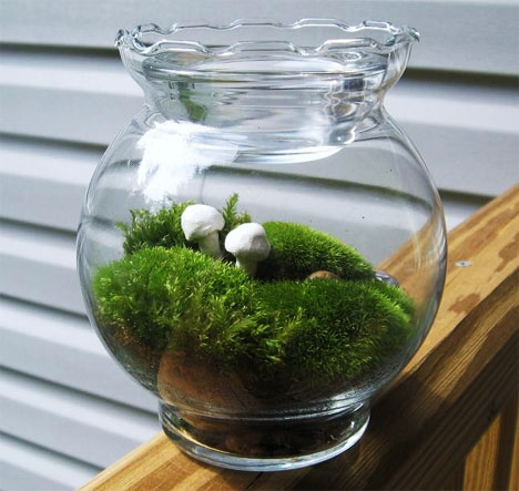 h2w plants terrarium3 مدل سبزه عید 1390   